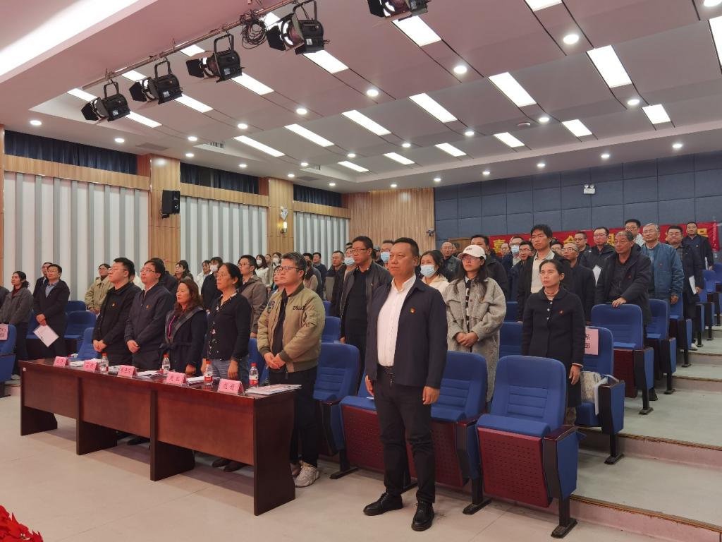 中国共产党jojo漫画
党员代表大会胜利召开